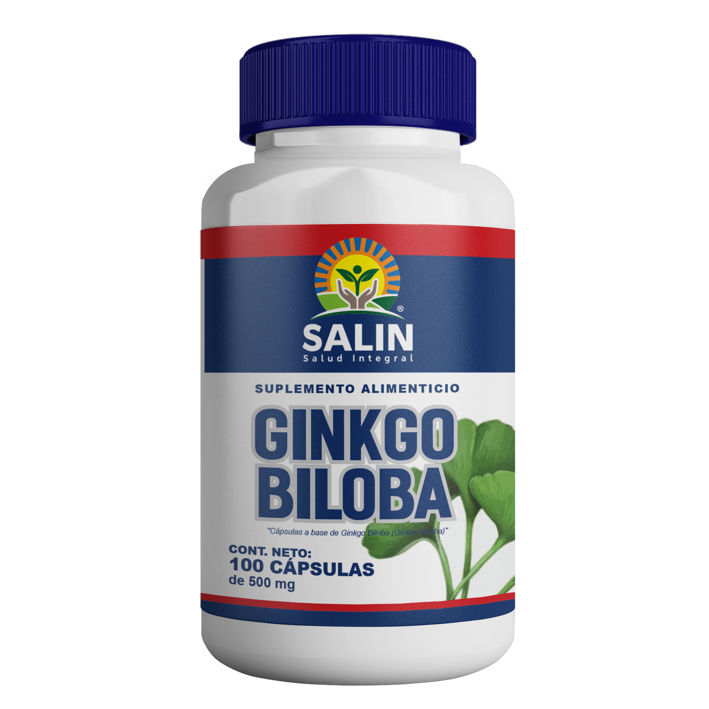 Ginkgo Biloba